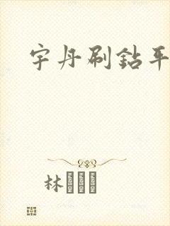 宇丹刷钻平台