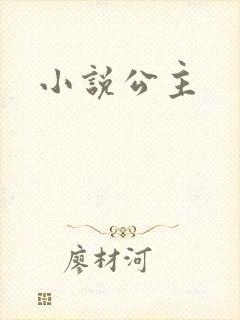 小说公主封面