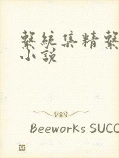 系统集精系统 小说