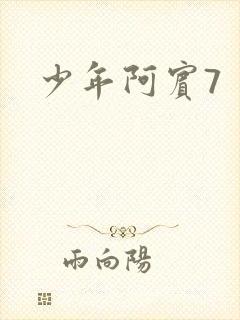 少年阿宾7封面