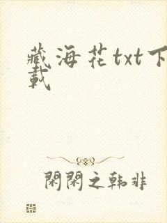 藏海花txt下载