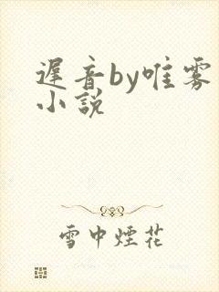 迟音by唯雾的小说