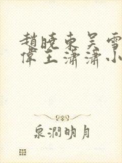 赵晓东吴雪晴郑伟王潇潇小说名字封面