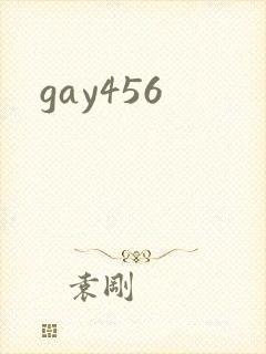 gay456封面
