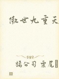 傲世九重天小说封面