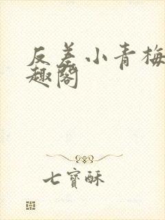 反差小青梅 笔趣阁
