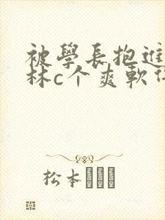被学长抱进小树林c个爽软件