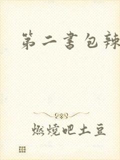 第二书包辣文