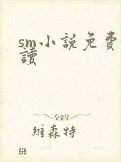 sm小说免费阅读
