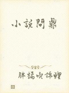 小说问鼎