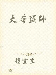 大唐盗帅