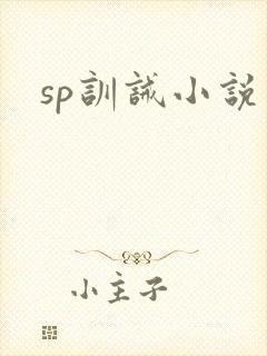 sp训诫小说封面