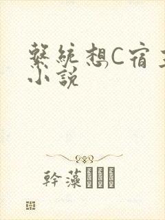 系统想C宿主的小说