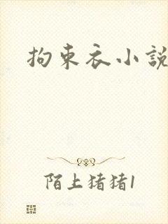 拘束衣小说