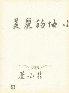美丽的他 小说