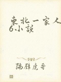 东北一家人1一6小说
