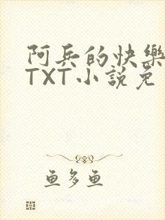 阿兵的快乐生活TXT小说免费阅读全章