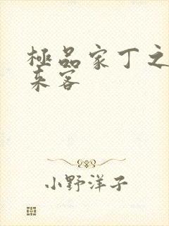 极品家丁之远方来客