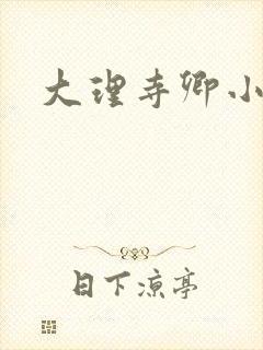 大理寺卿小说封面