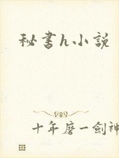 秘书h小说