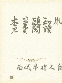 木宁顾知胤小说免费阅读