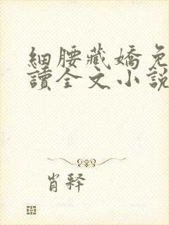 细腰藏娇免费阅读全文小说苏珞浅封面