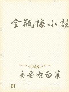 金瓶梅小说在线