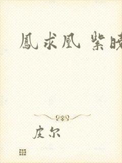 凤求凰 紫晓