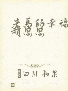 老马的幸福生活赵思思