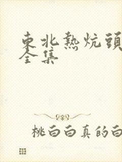 东北热炕头小说全集封面