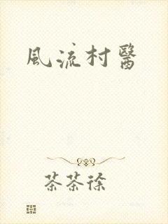 风流村医封面