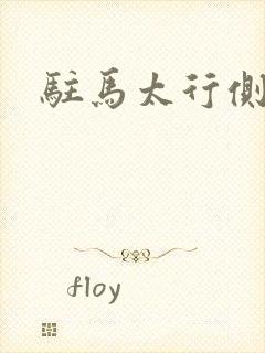 驻马太行侧封面