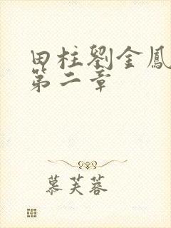 田柱刘金凤小说第二章封面