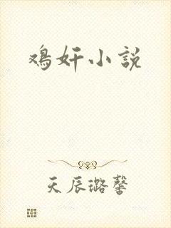 鸡奸小说封面