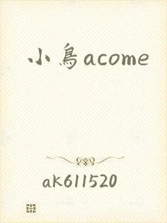 小鸟acome封面