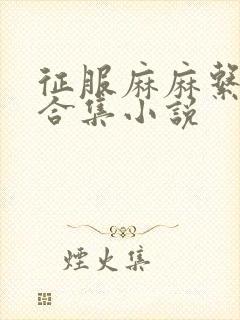 征服麻麻系列大合集小说