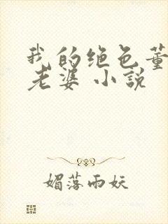 我的绝色董事长老婆 小说