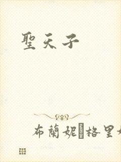 圣天子
