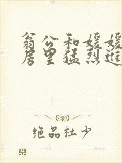 翁公和媛媛在厨房里猛烈进出