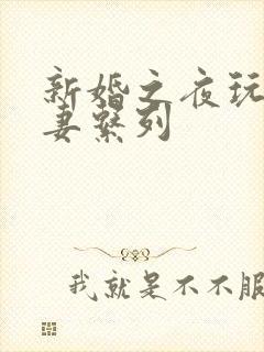 新婚之夜玩弄人妻系列封面