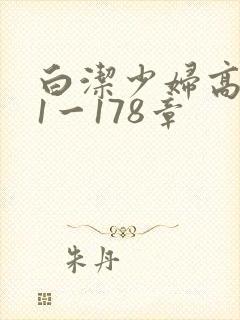 白洁少妇高义第1一178章