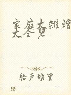 家庭大杂烩小说大全儿封面