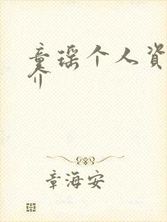 童瑶个人资料简介封面