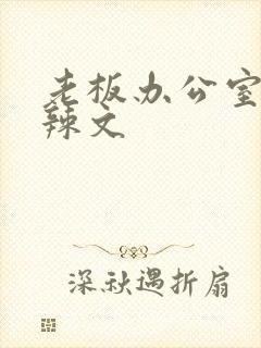 老板办公室系列辣文