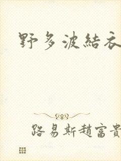 野多波结衣