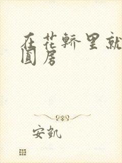 在花轿里就开始圆房