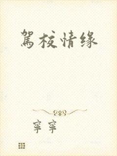 驾校情缘