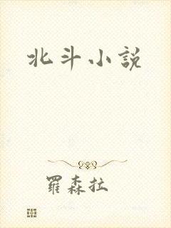 北斗小说