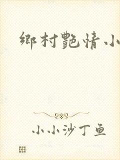 乡村艳情小说