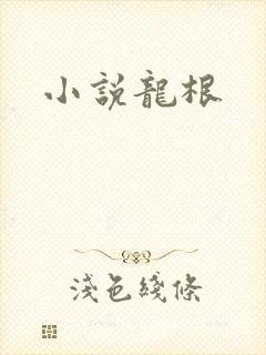 小说龙根封面